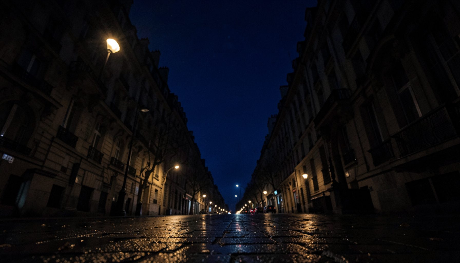 Low-angle night photograph of a Parisian boulevard, deep navy sky, soft streetlamp glow on wet stone, moody and quiet